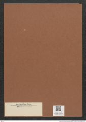 Diatomeae indet. Zeichnungen Sammlung Grunow Mappe 03111 (Herbarium_W_Grunow_drawings_Folder_03111)